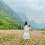 Hà giang mùa tam giác mạch